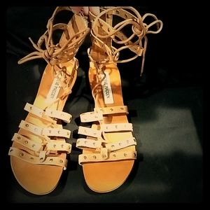 Steve Madden Gladiator Lace Up Sandals